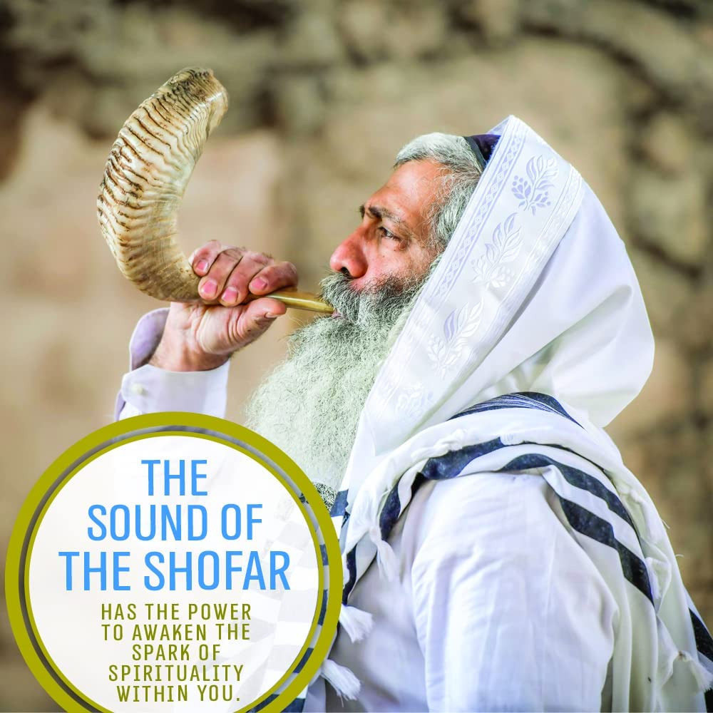 Kosher Ram Shofar From Israel 12\