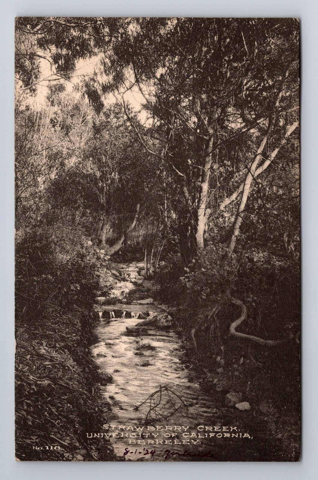 Berkeley CA-California, Strawberry Creek, Antique, Vintage Souvenir Postcard