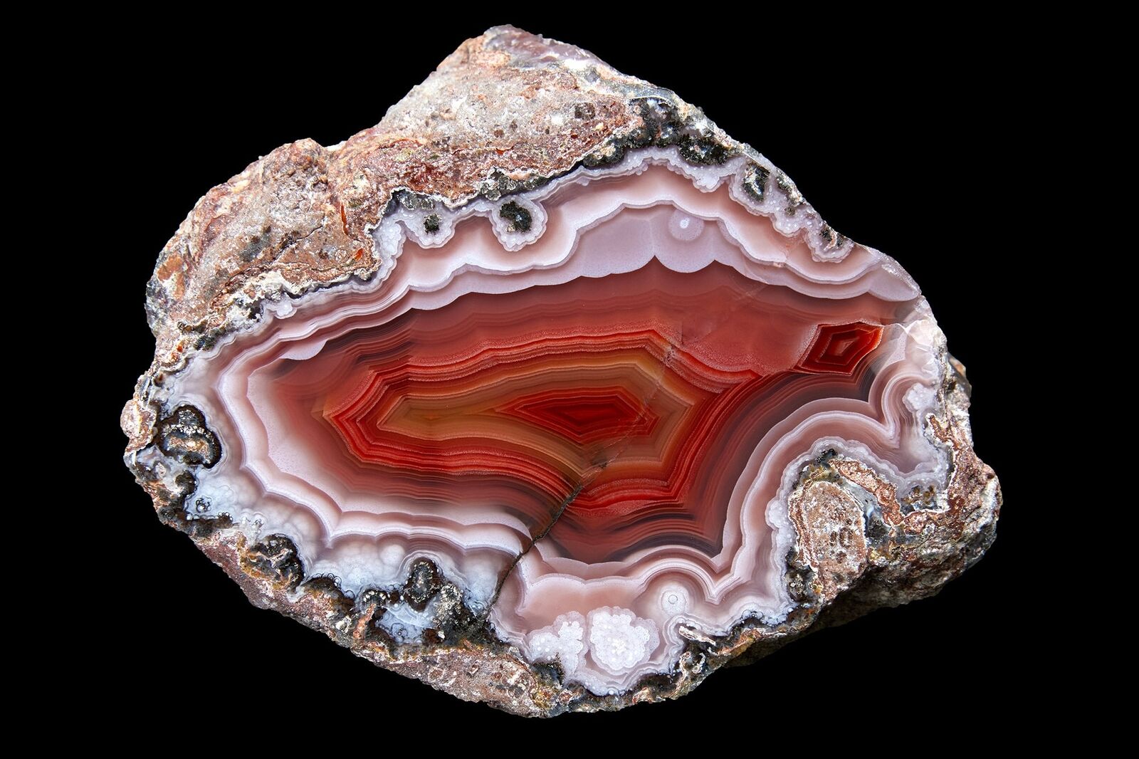 Laguna Agate From Mexico Collectors Grade Tight Banding and High Contrast