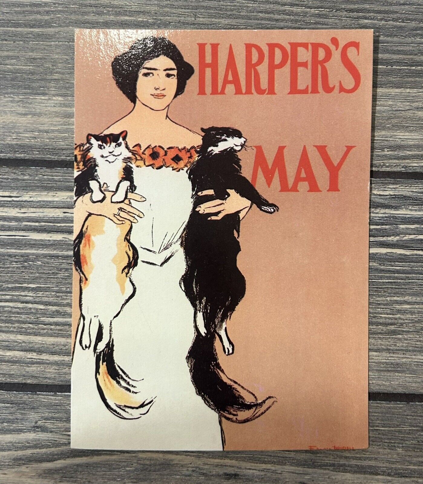 Vintage Harpers May Cat Edward Penfield Postcard