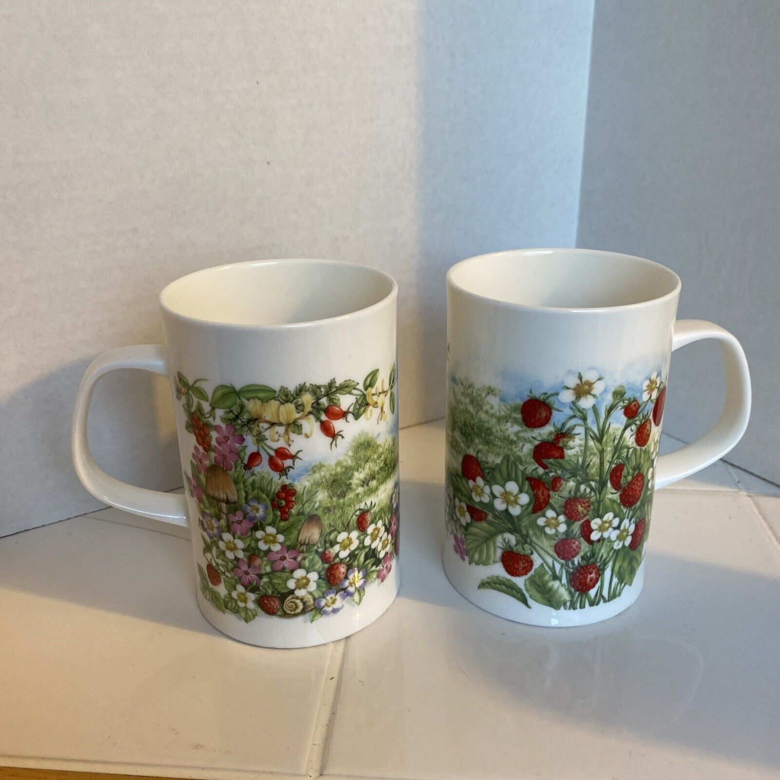 Dunoon Hedgerow Fruits Strawberry Mugs Set Of 2