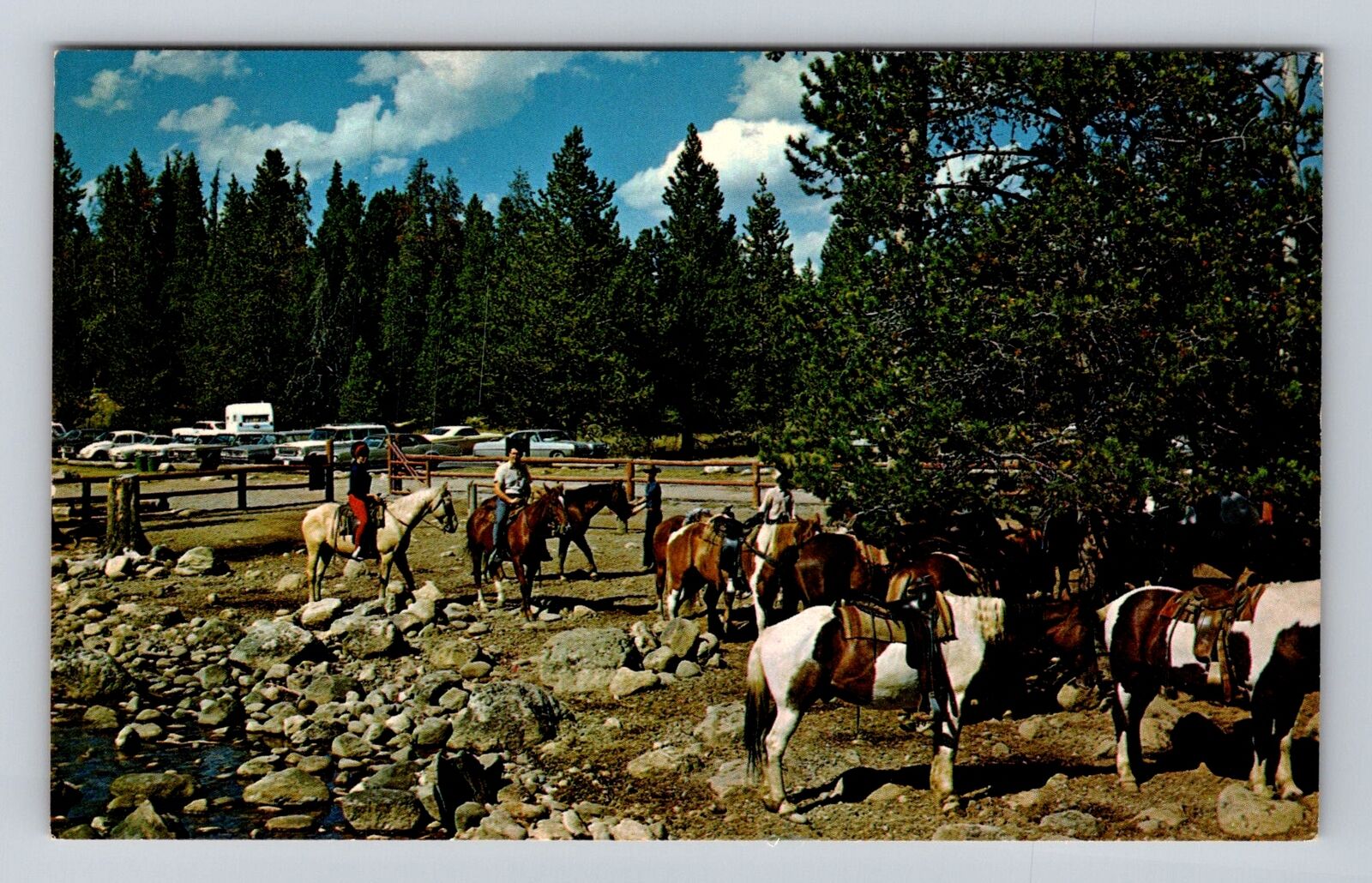 Grand Teton National Park, Horseback Riding At Jenny Lake, Vintage Postcard