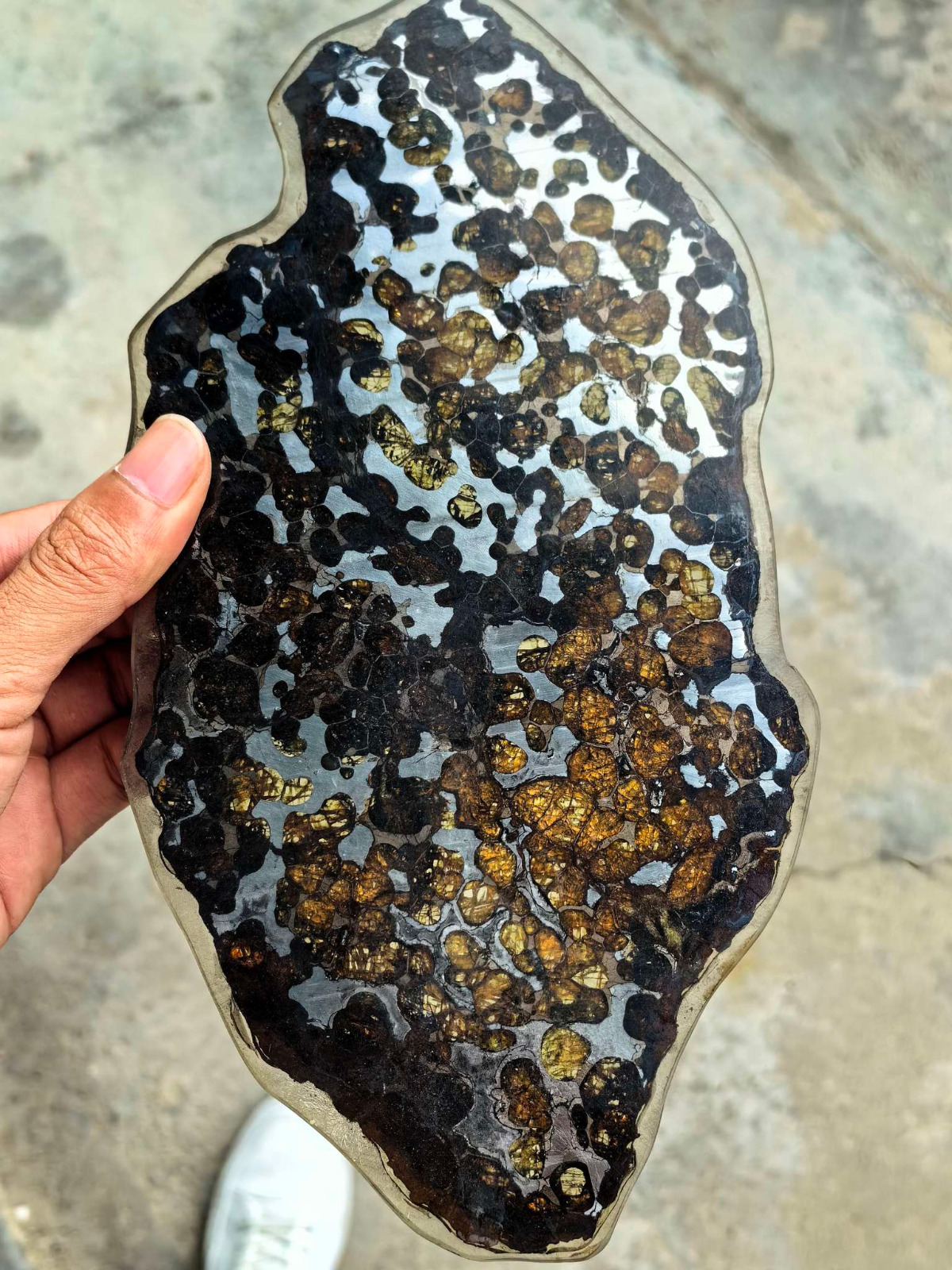 177g Beautiful Brenham meteorite Iron meteorite thin slice-from USA