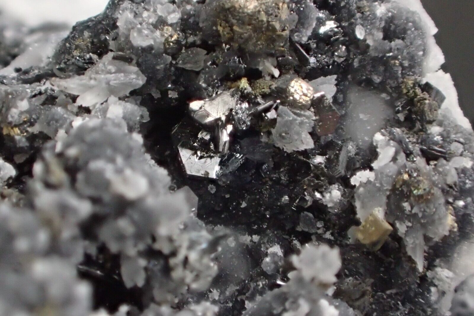 Polybasite crystals Mexico