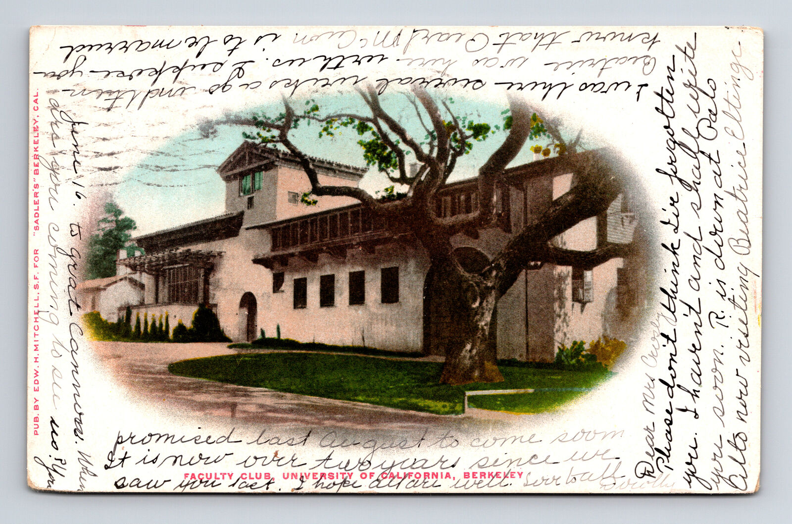 1909 University of California Berkely Faculty Club Berkeley CA UDB Postcard