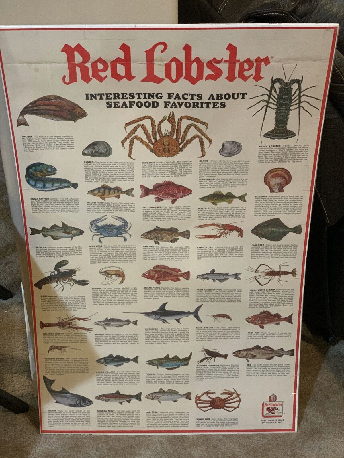 VINTAGE Red Lobster Interesting Facts About Seafood Favorites Poster & Guide