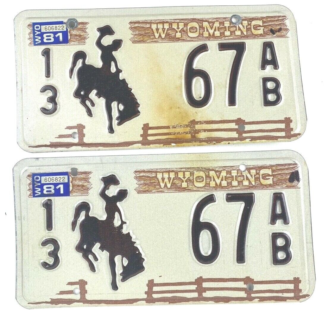 Wyoming 1981 License Plate Set Vintage Auto Converse Co Cave Rustic Collector
