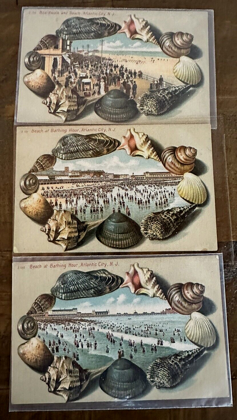 Lot of 3 Antique Souvenir Shells Seashell Border~Postcards~Atlantic City NJ~k294