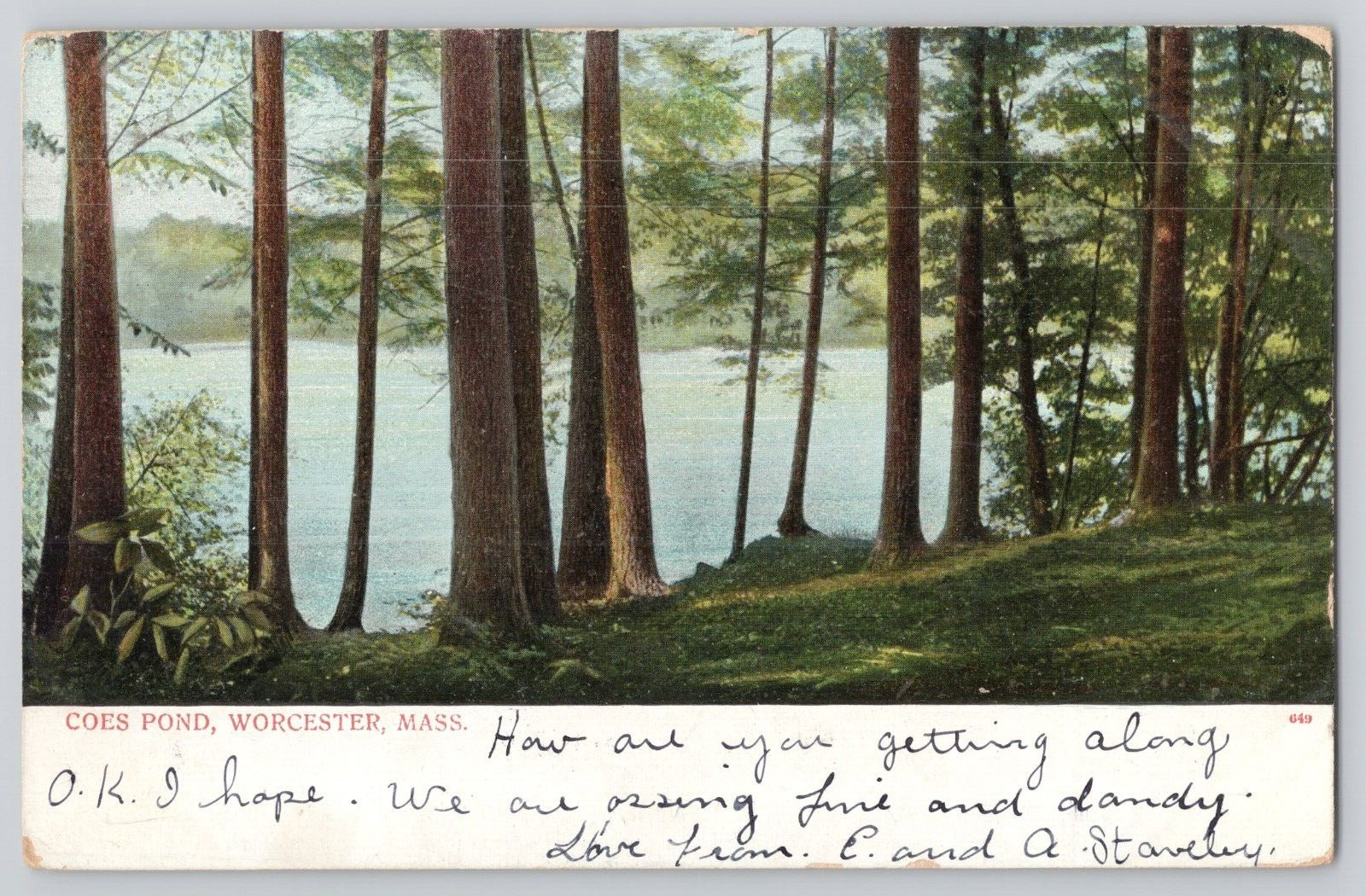 Postcard Coes Pond, Worcester, Massachusetts c1906