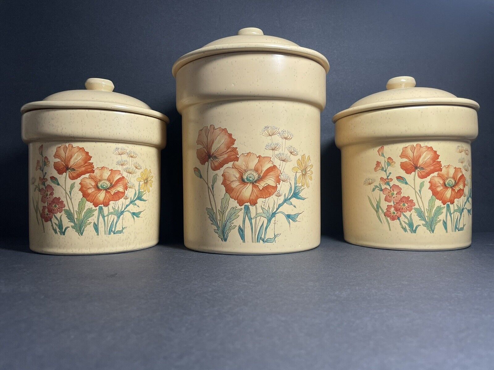 Vintage 1970's Treasure Craft Wildflower Poppy Canister Set Of 3 GREAT condition