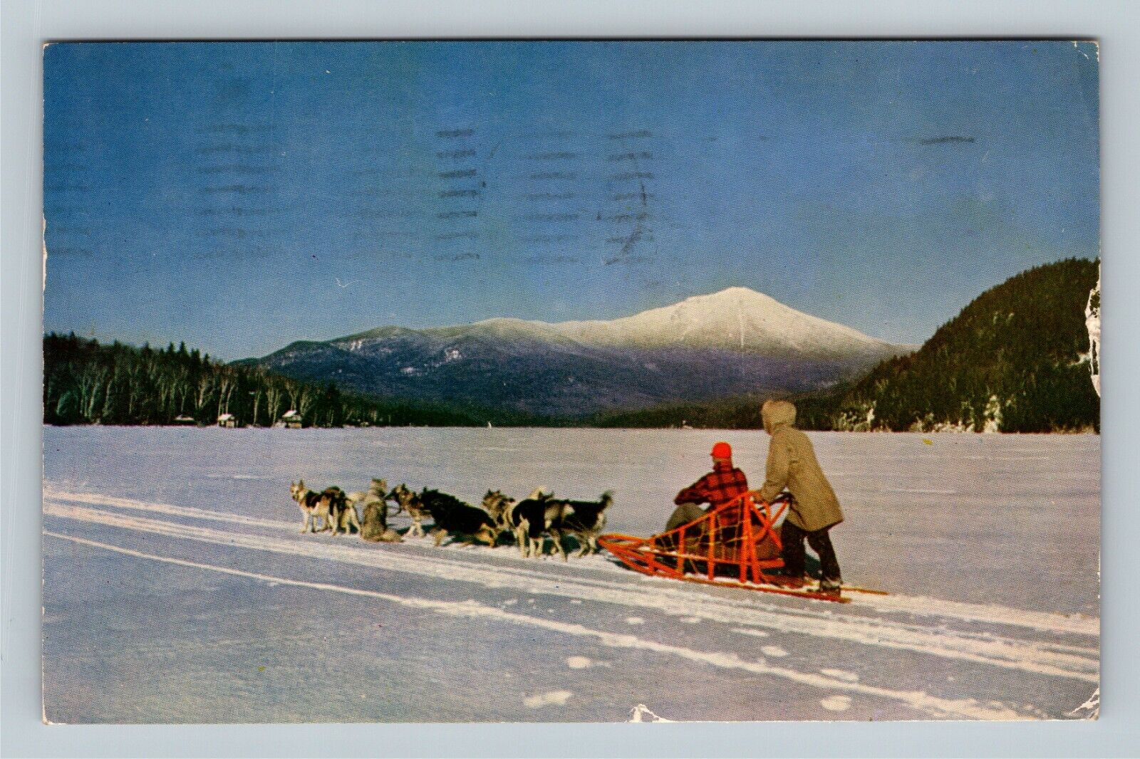 Animals -Husky Dog Sled Team, Alaska Mountain View, c1955 Vintage Postcard