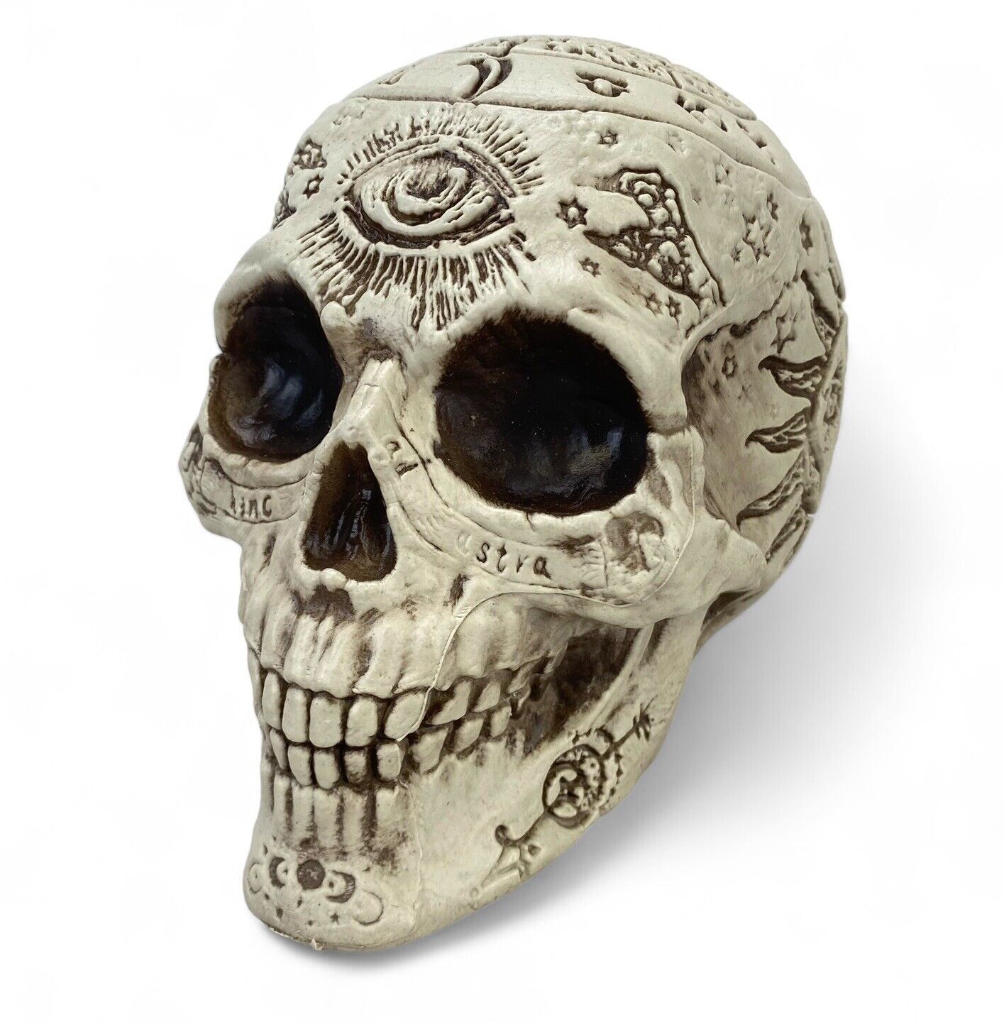 Realistic Human Skull ~ Zodiac ~ Magic ~ Halloween Decoration ~ White Aged Look