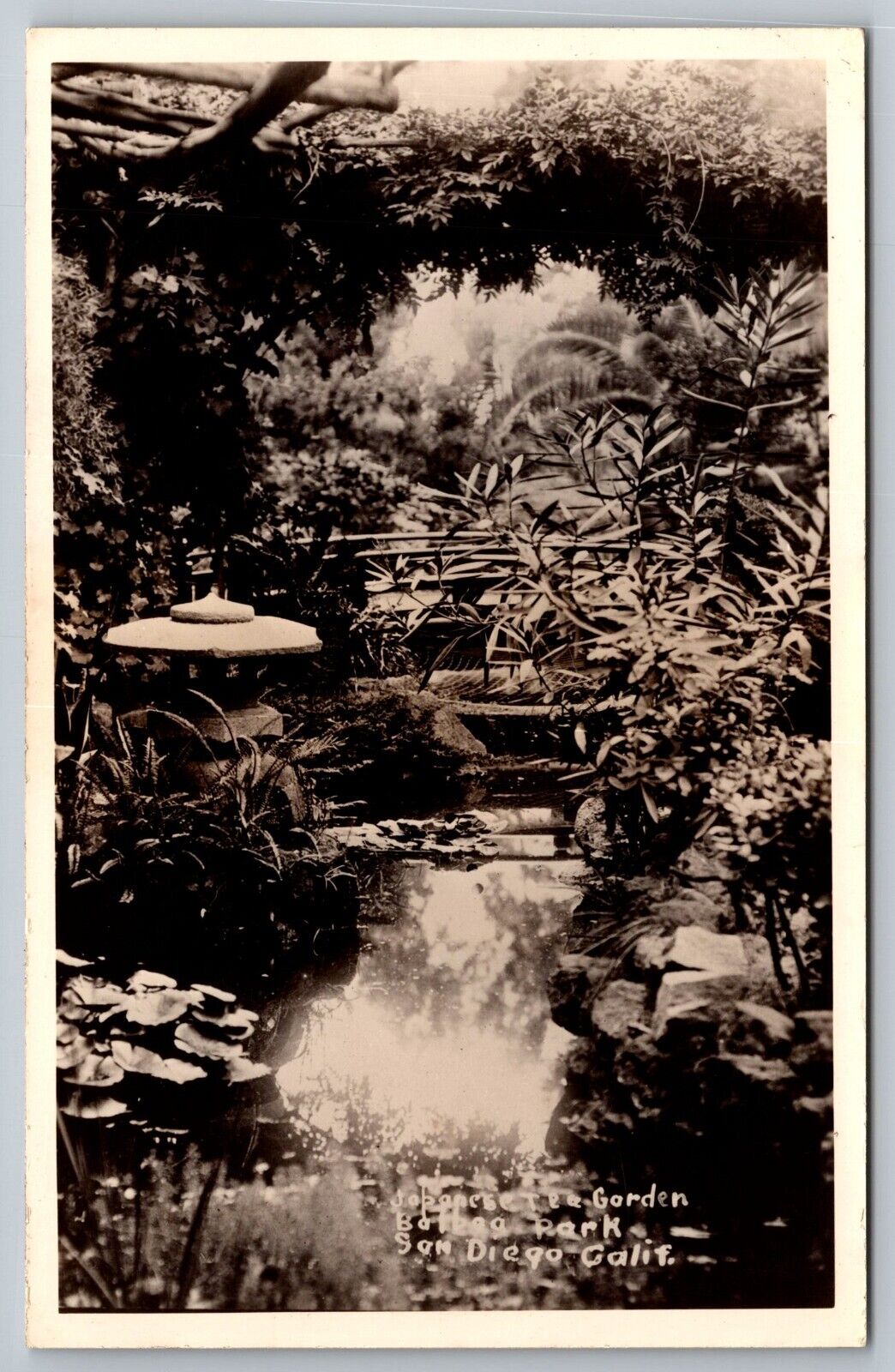 Japanese Tea Garden. Balboa Park. San Diego California Real Photo Postcard RPPC