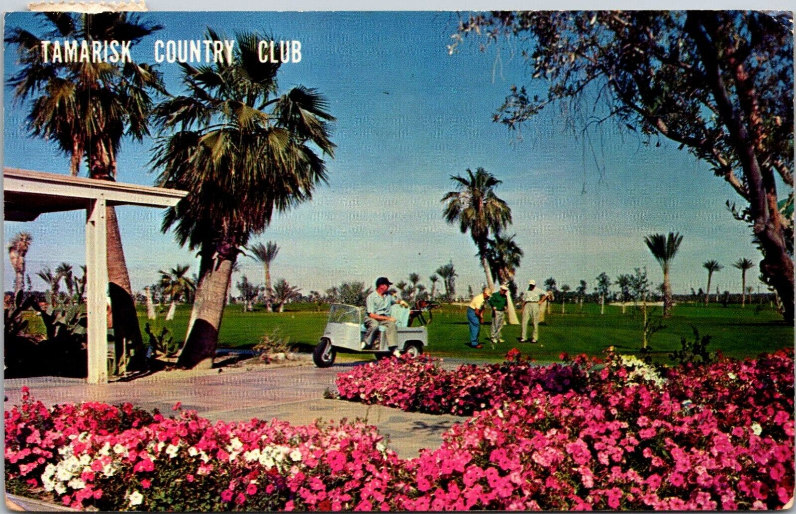 Tamarisk Country Club, Palm Springs, California Postcard Golfers, Golf Cart