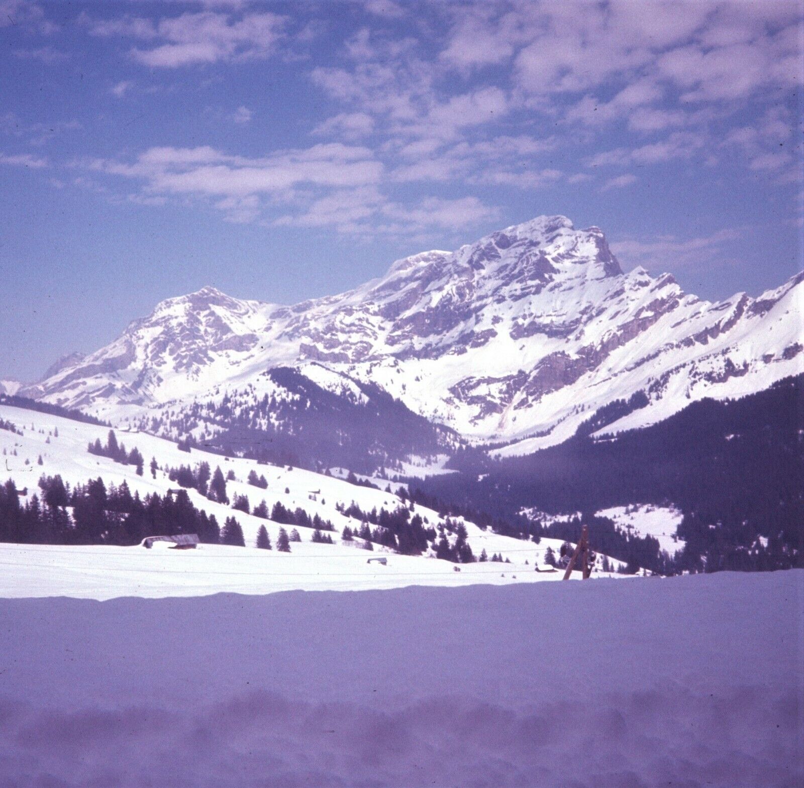 1970 Swiss Mountains Switzerland Alps Tree Line Snow #2 70s Vintage 126 Slide