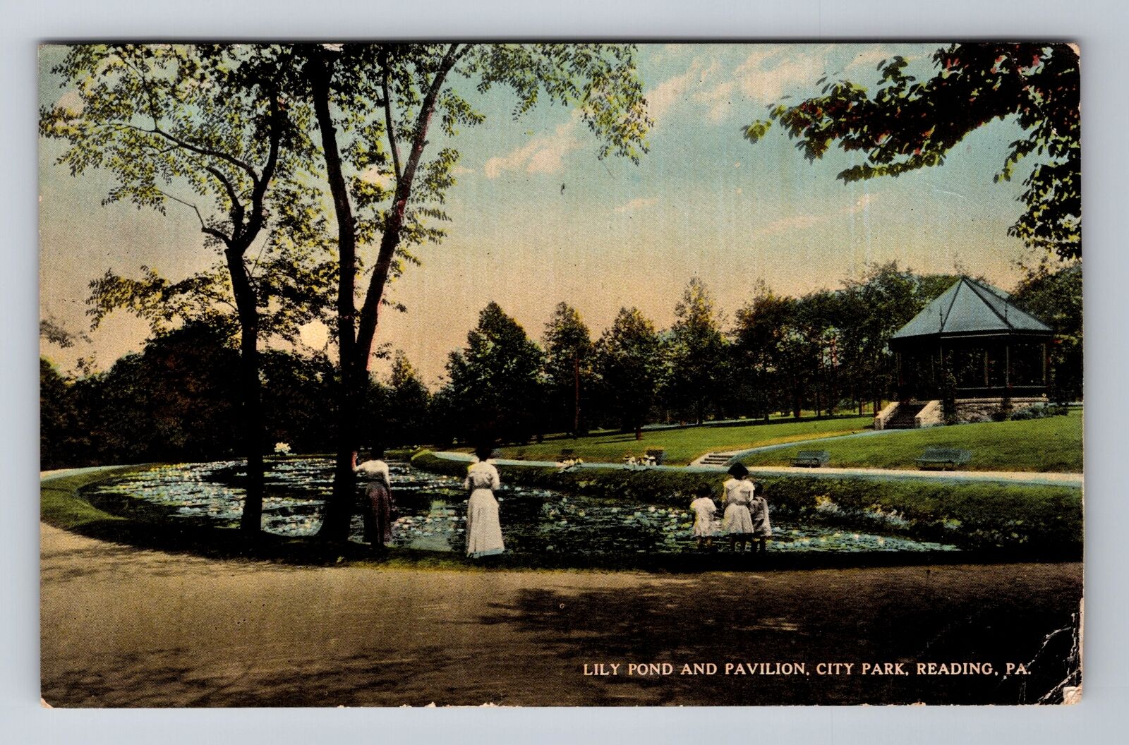 Reading PA-Pennsylvania, Lily Pond, City Park, c1914 Antique Vintage Postcard