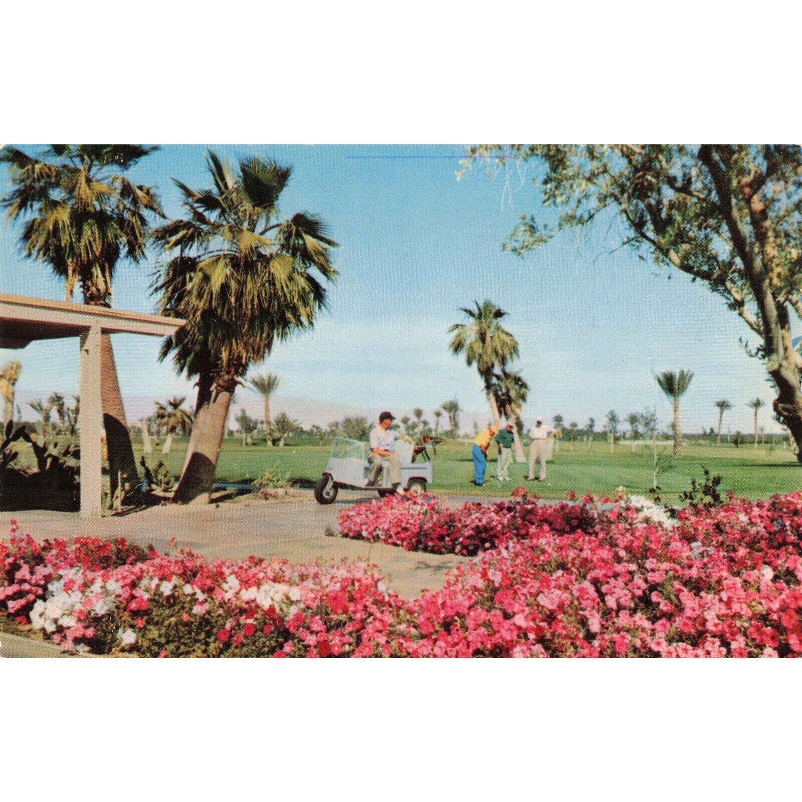 1950\'s Tamarisk Country Club Golf Cart Palm Springs Ca. Postcard 2R3-287
