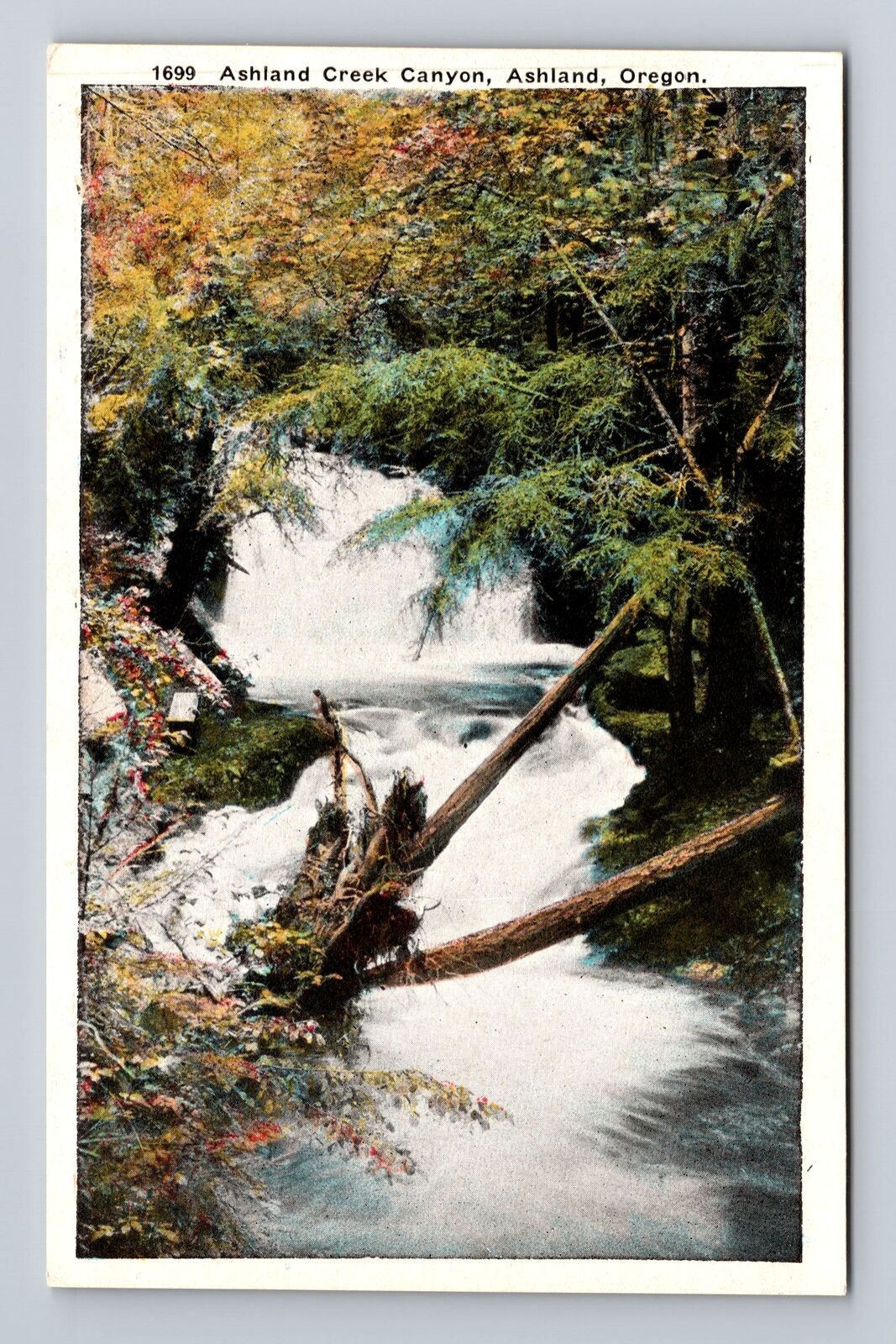 Ashland OR-Oregon, Ashland Creek Canyon, Antique, Vintage Postcard