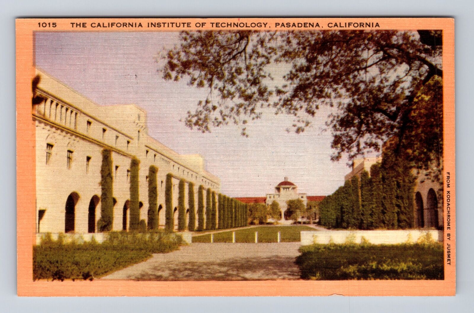 Pasadena CA-California, The California Institute Of Technology Vintage Postcard