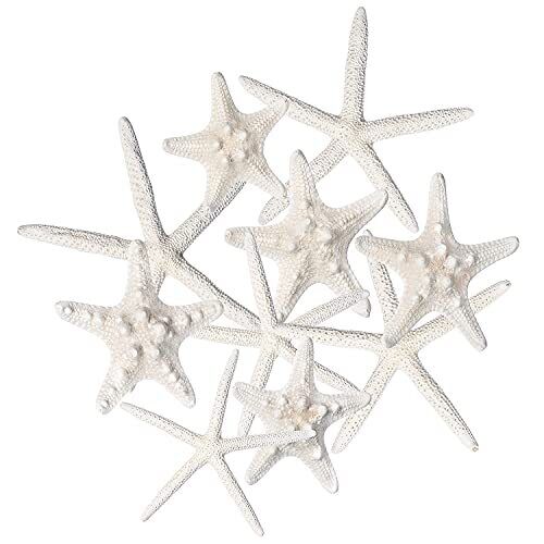 Starfish Decor 10 Pack Assorted Star Fish 26 Inch Starfish For Crafts White Star