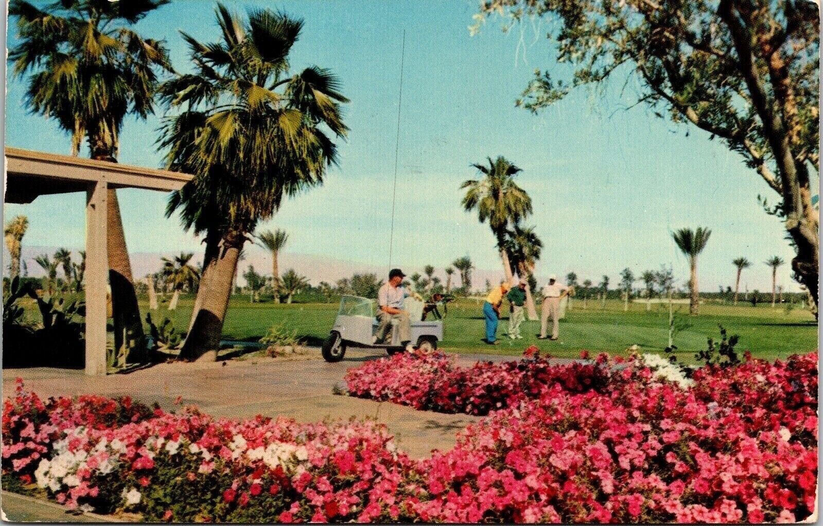 Tamarisk Country Club Palm Springs CA California Golfers VTG Postcard PM Cancel