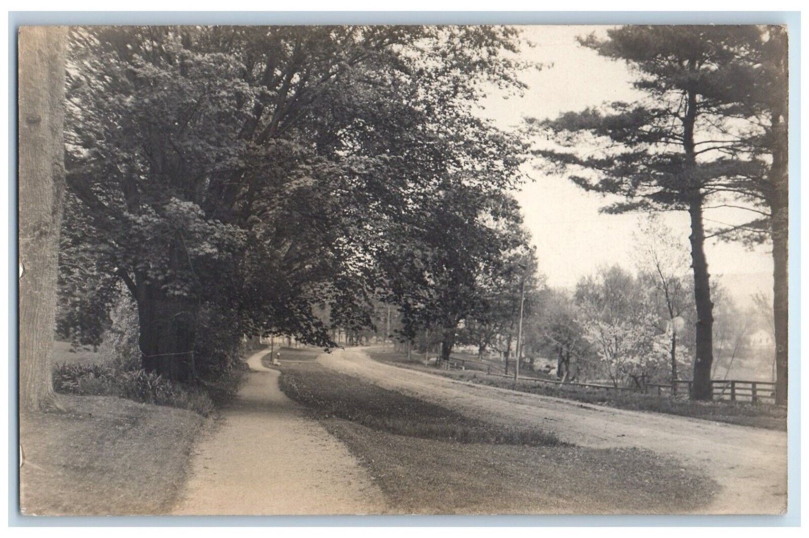 c1910\'s Dirt Road Street View And Trees Sheffield MA Antique RPPC Photo Postcard