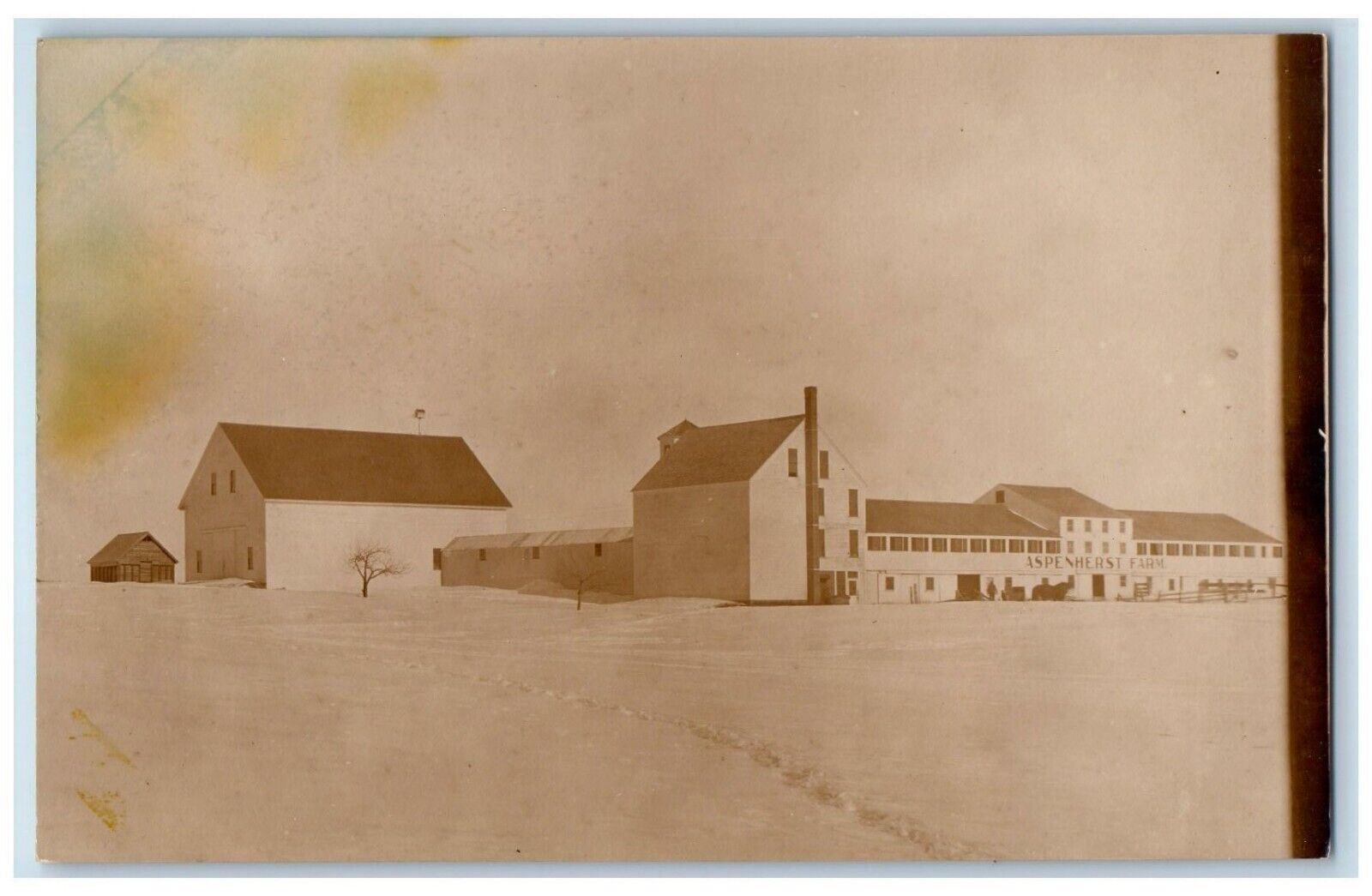 c1930\'s Aspenherst Farm Snow Horse South Windham Maine ME RPPC Photo Postcard