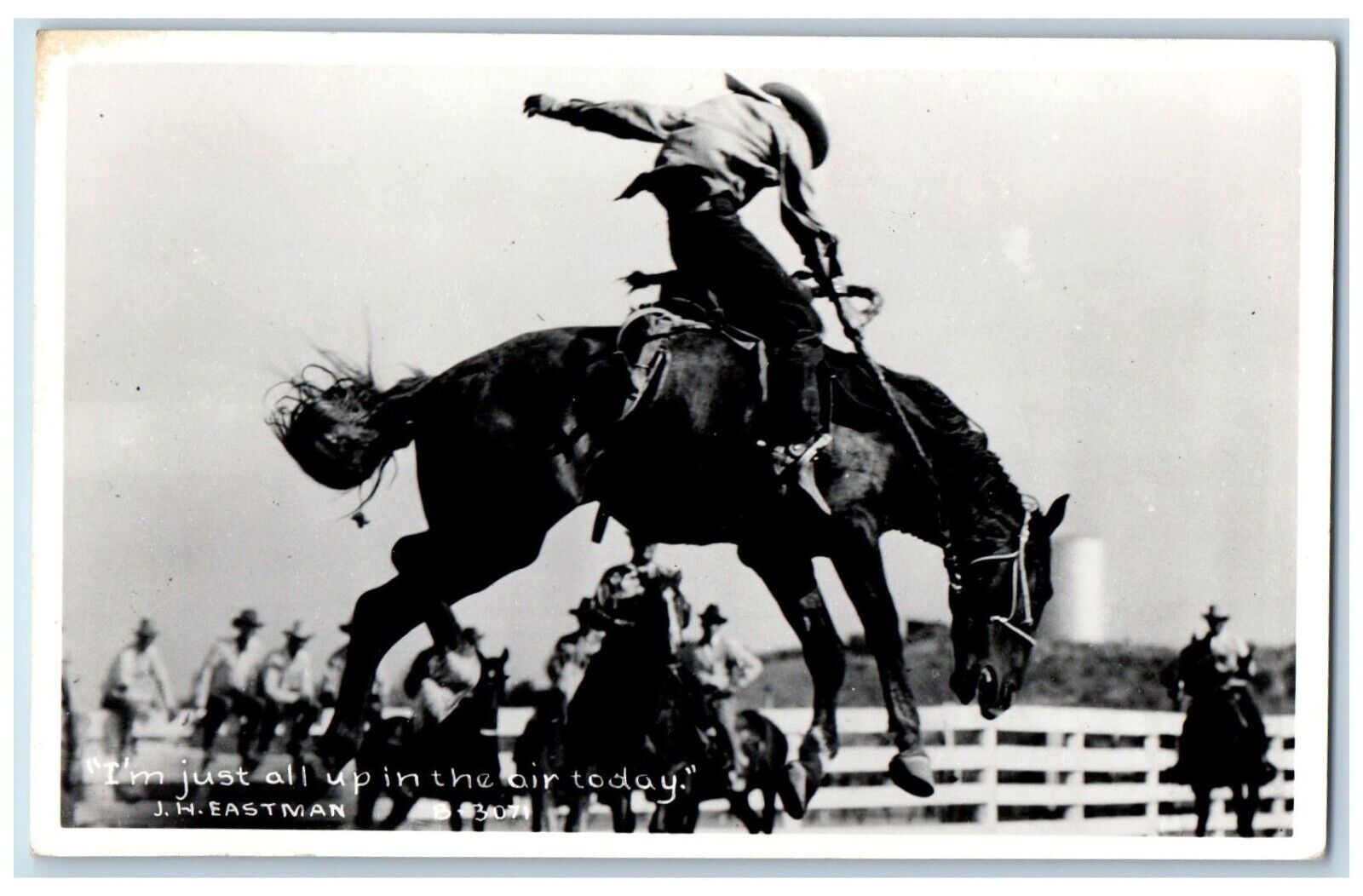 Rodeo Postcard RPPC Photo I'm Just All Up In The Air Today Eastman c1940's