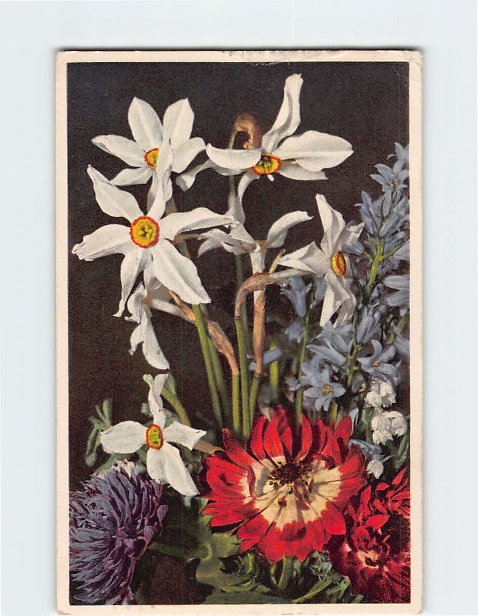Postcard Beautiful Spring Flowers