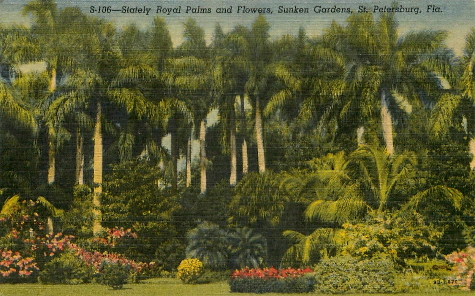 Royal Palms and Flowers Sunken Gardens St. Petersburg FL. Vintage Linen Postcard
