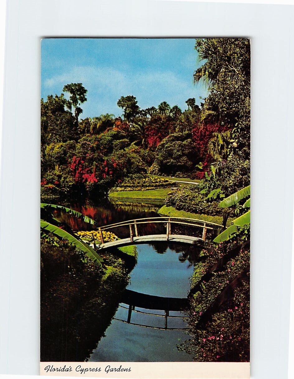 Postcard Florida\'s Cypress Gardens, Florida