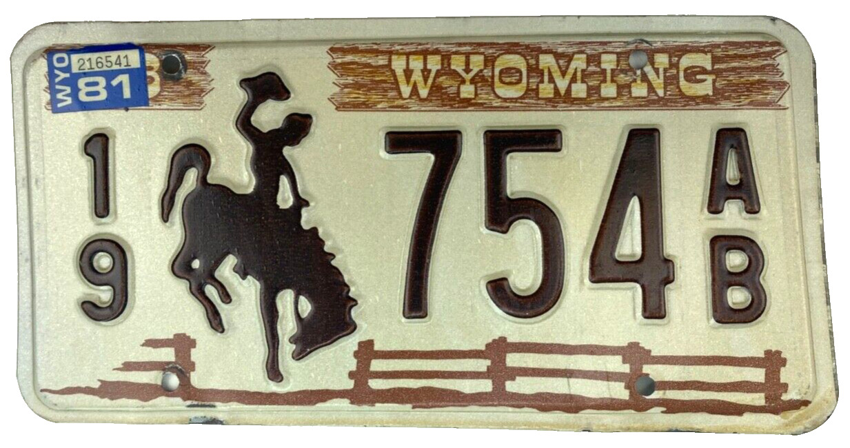 Wyoming 1981 Auto License Plate Vintage Uinta Co Man Cave Wall Decor Collector