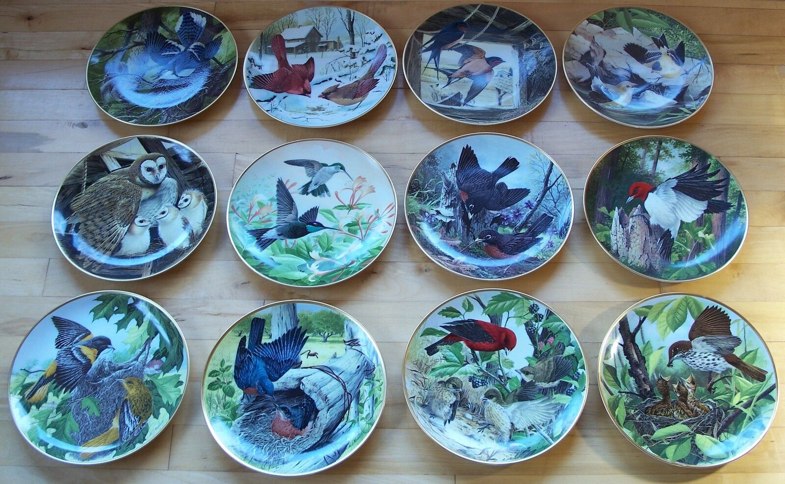 Complete Plate Set Lot of 12 THE NATIONAL AUDUBON SOCIETY Plates A.J. Rudisill