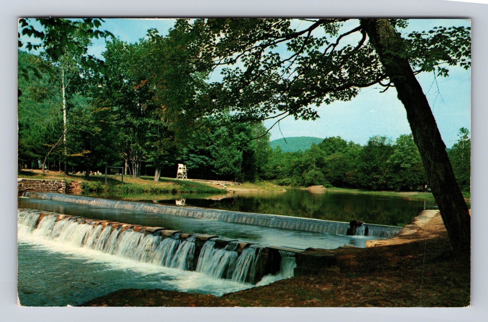 Oleona PA-Pennsylvania, Ole Bull State Park, Antique, Vintage c1957 Postcard