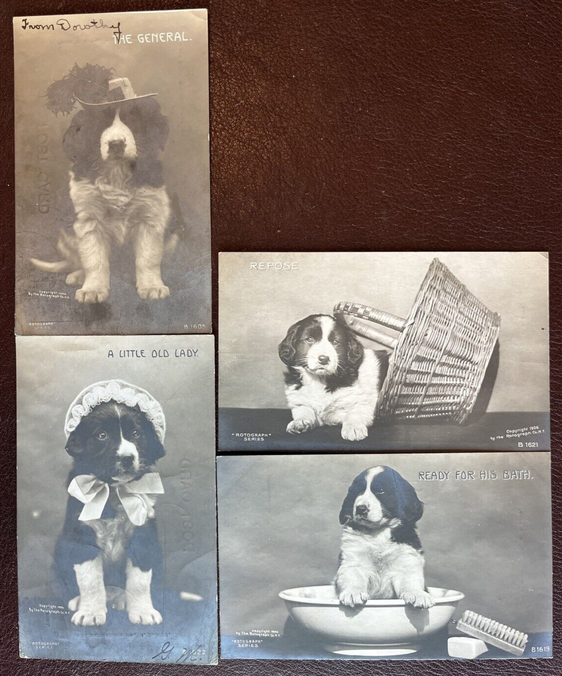 4 RPPC Rotograph 1906 Puppy Postcards: The General/Repose/Little Old Lady/Bath