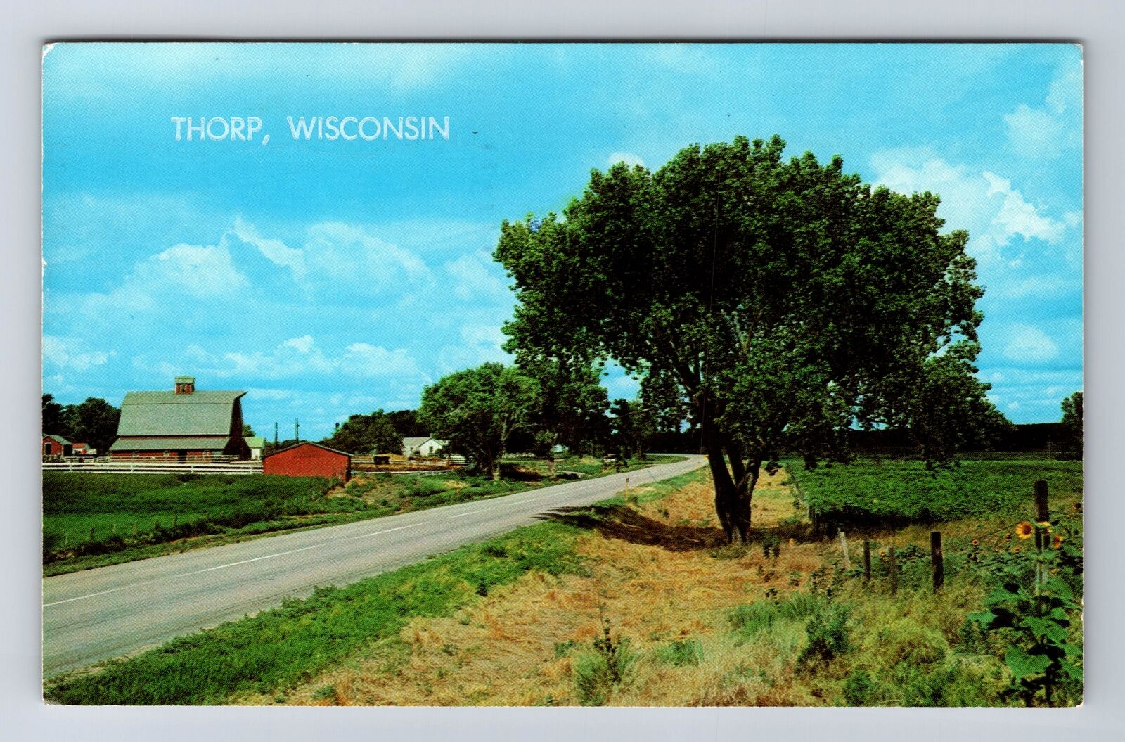 Thorp WI-Wisconsin, Scenic Greetings, Antique Souvenir Vintage c1986 Postcard