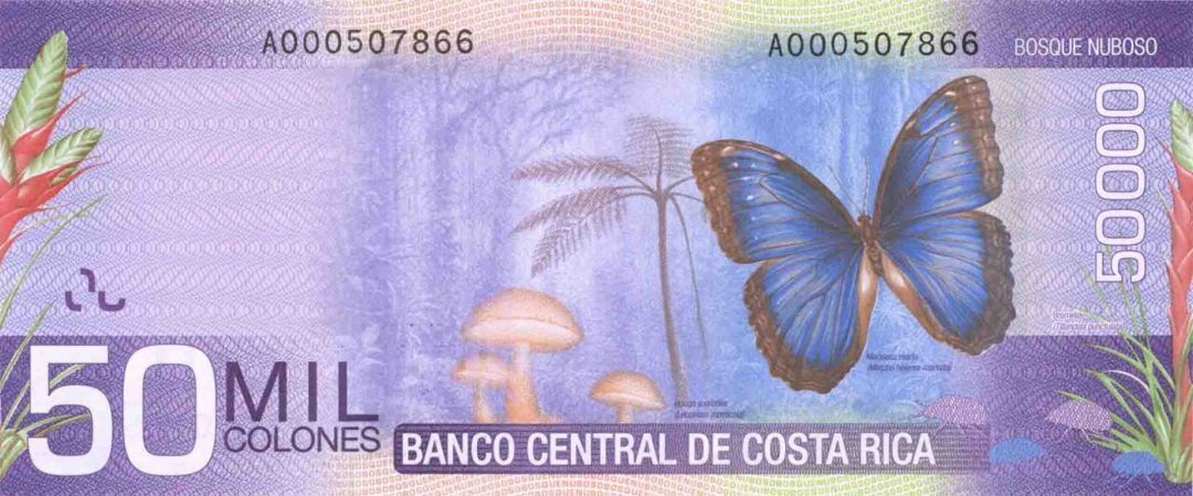 Costa Rica - 50,000 Colones - P-279 - 2009 dated Foreign Paper Money - Paper Mon