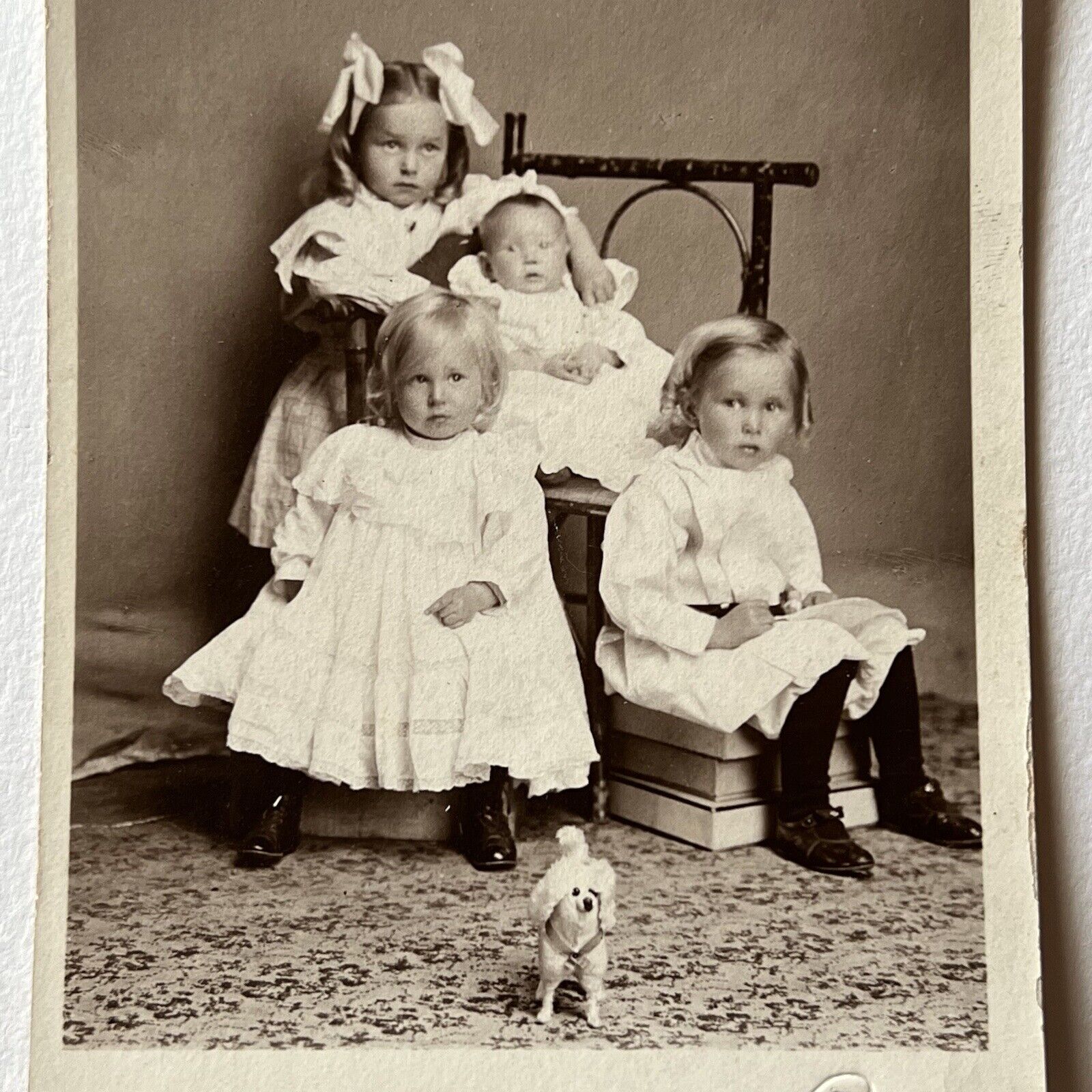 Antique RPPC Real Postcard Little Girls Boy Baby Sweet Toy Poodle Mondovi WI