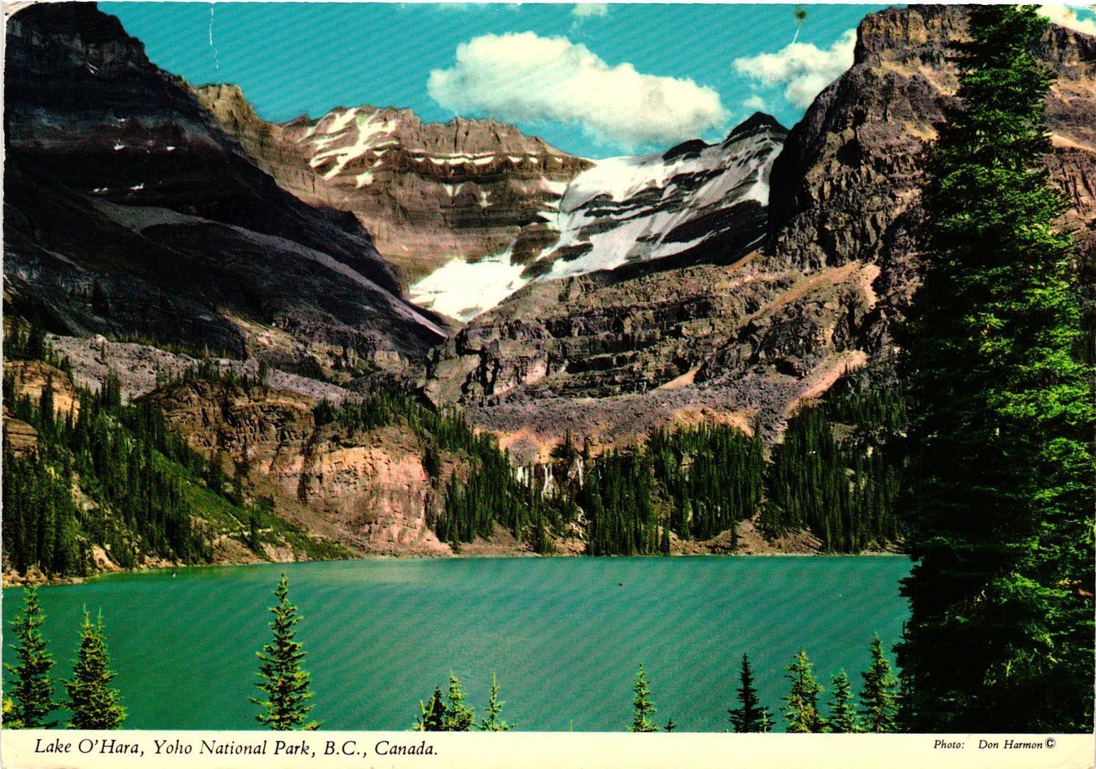 Vintage Postcard 4x6- Lake O'Hara, Mount Lefroy, Glacier Peak, Y Posted 1960-80s