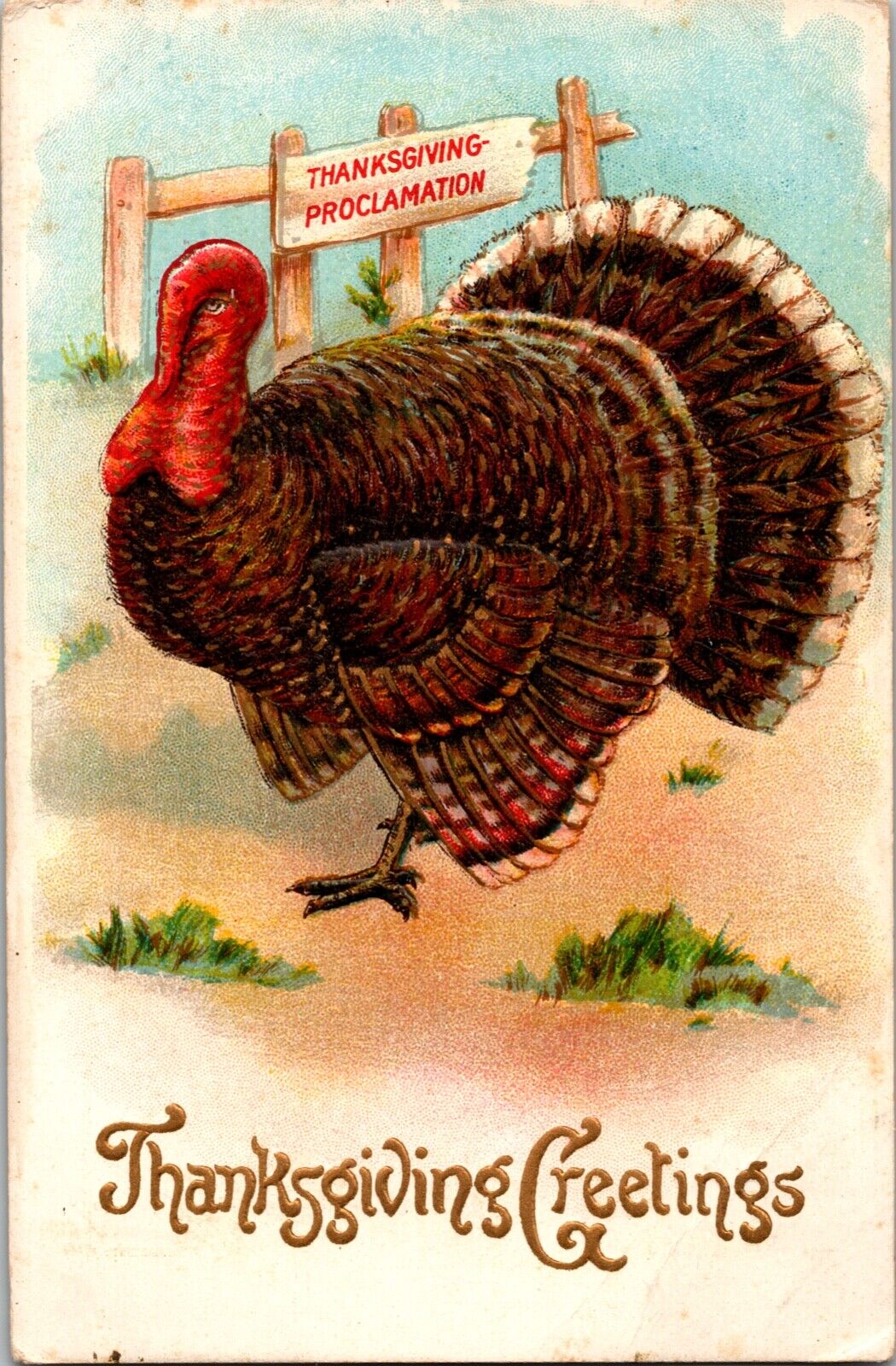 Thanksgiving Turkey Pardon 1910s Vintage Embossed Unposted Postcard Divided 