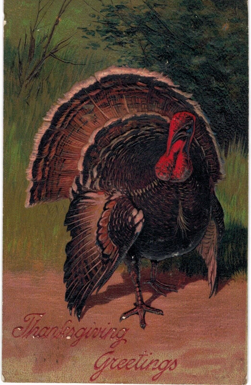Thanksgiving by PFB Turkey 1910 