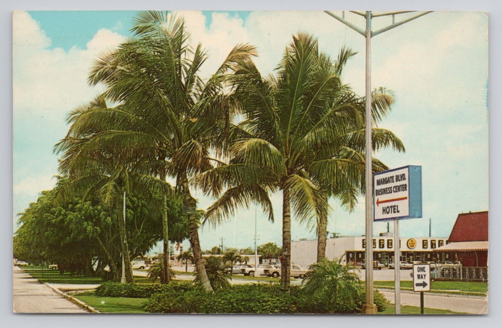 Postcard Margate Florida Coconut Palms Along Margate Boulevard