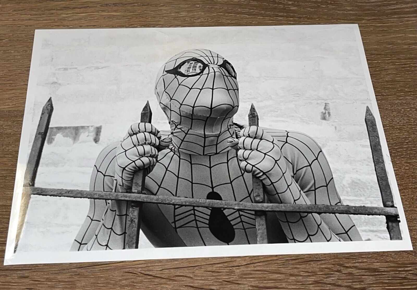 Original Vintage 1977 Type 1 Press Photo 🎥 Nicholas Hammond in Spider-Man