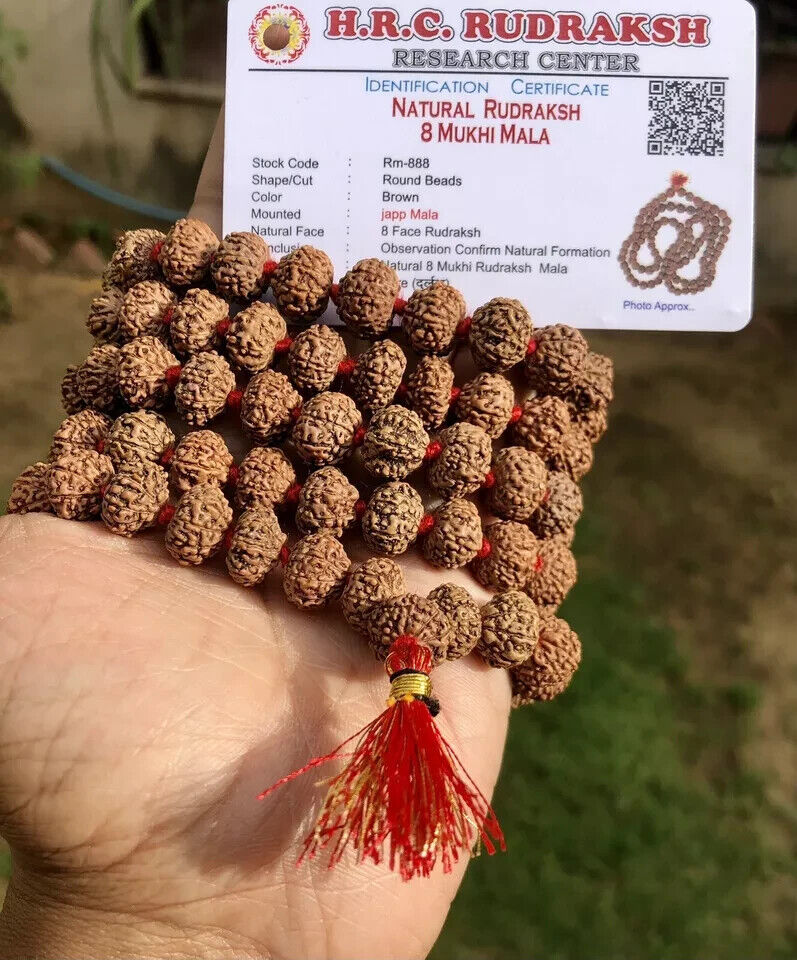 LAB CERTIFIED Rare 8 Mukhi RUDRAKSHA Rudraksh Mala ROSARY 108+1 Prayer Beads