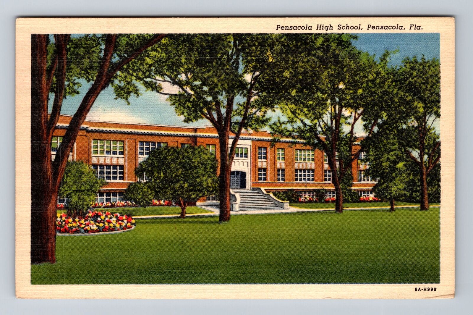 Pensacola FL-Florida, Panoramic Pensacola High School, Antique Vintage Postcard