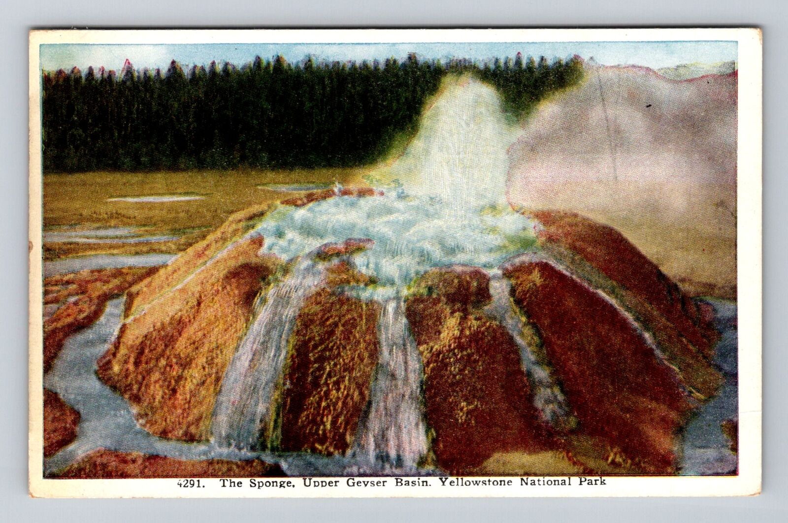 Yellowstone National Park, the Sponge, Series #4291 Vintage Souvenir Postcard
