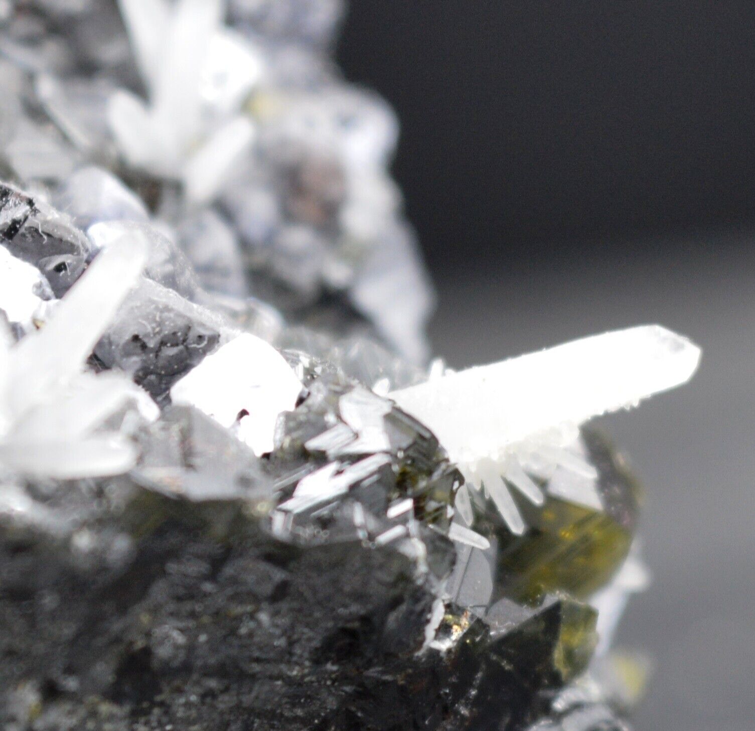 Quartz galena pyrite sphalerite 337 grams - Krushev dol mine, Madan, Bulgaria
