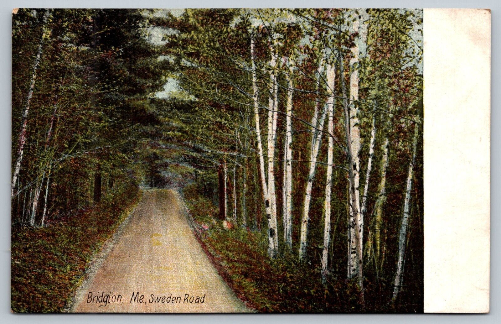 Maine Bridgton Sweden Road Vintage Postcard 