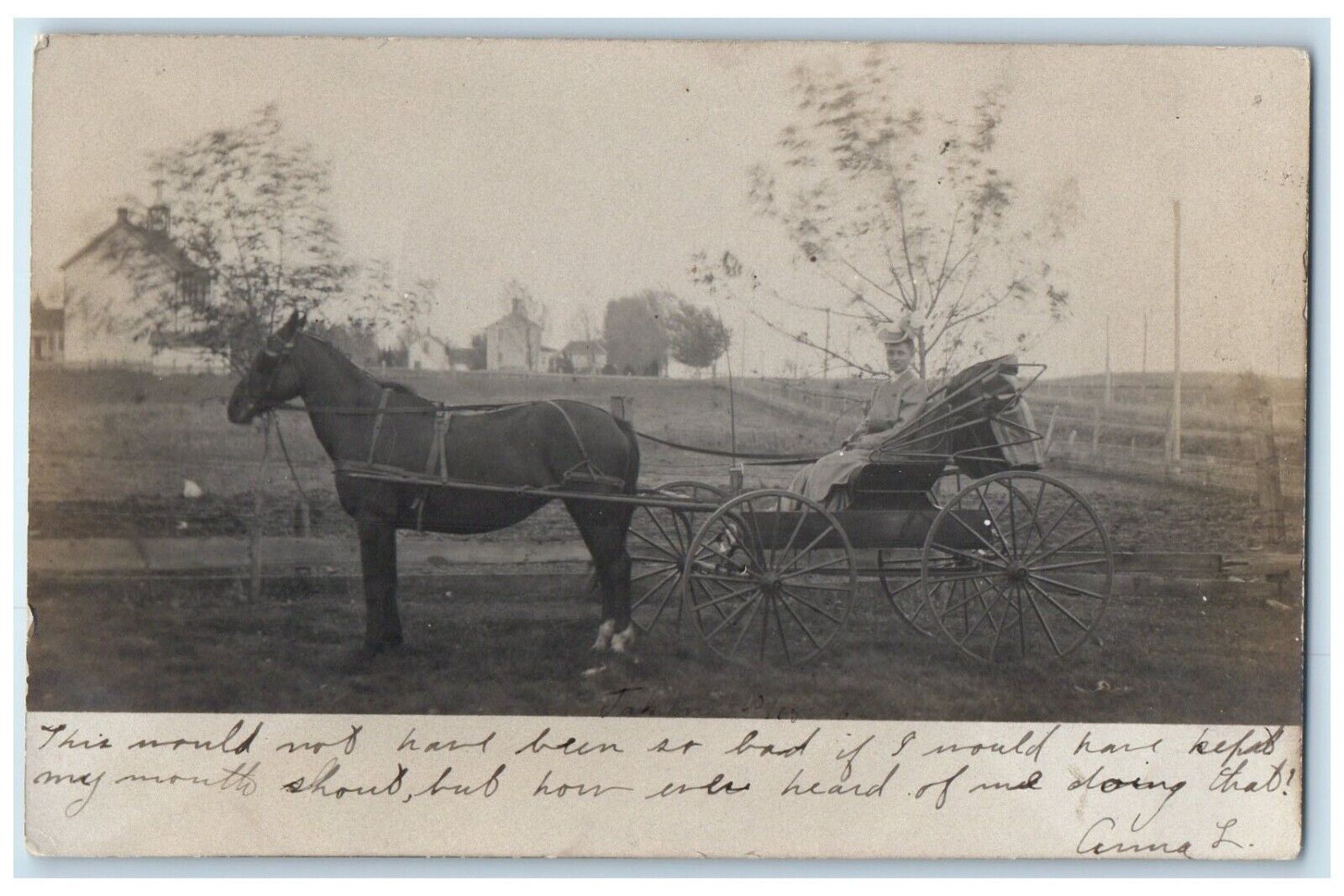 1906 Woman Riding Horse And Buggy Alexandria Iowa IA RPPC Photo Antique Postcard