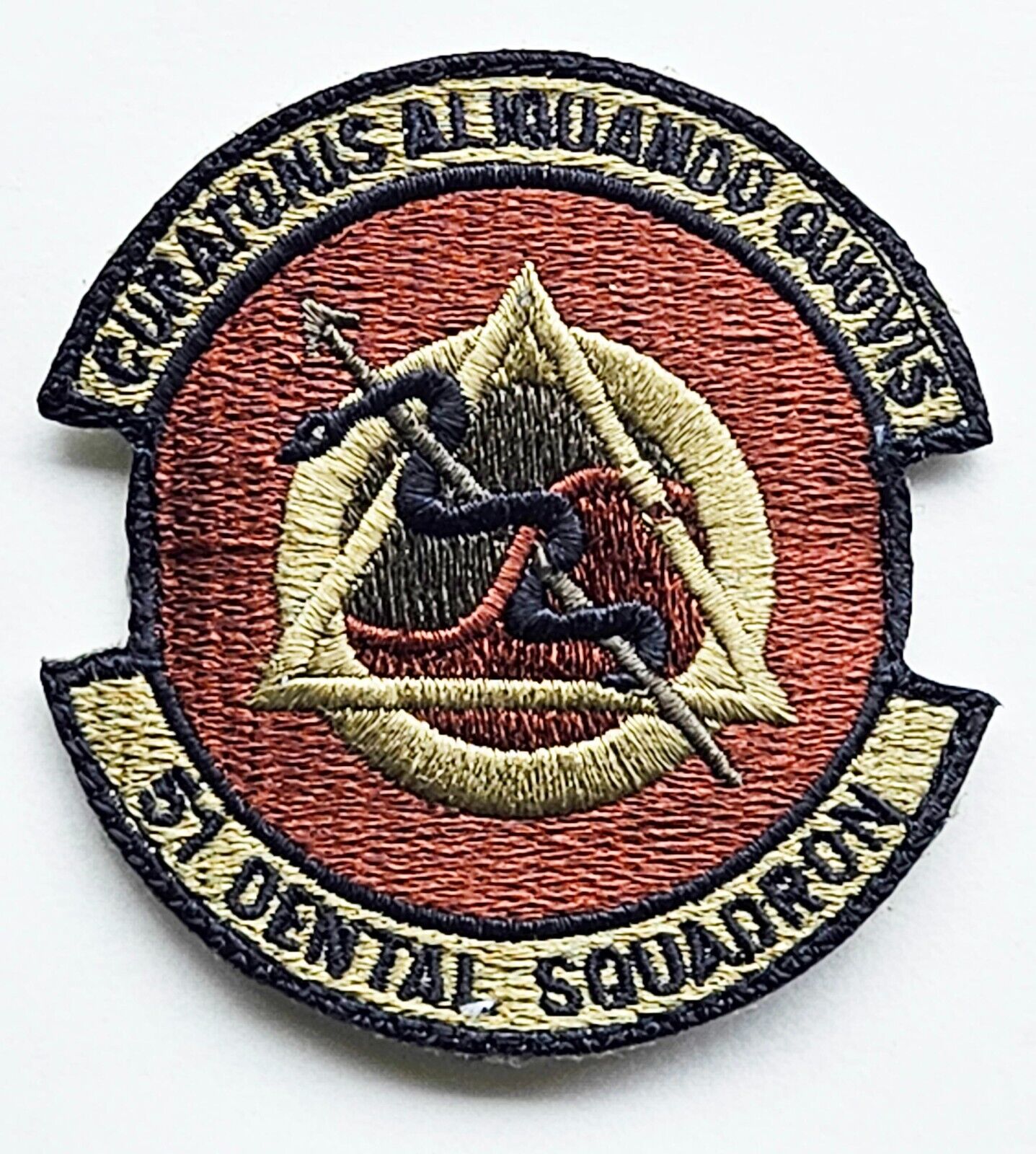 Air Force 51st Dental Squadron Subdued Hook Back Patch